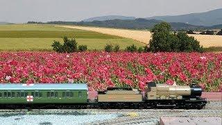 Model Railways Unlimited End of World War One Tribute [WW1 Armistice100]