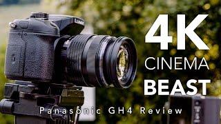 Panasonic GH4 in 2021 - Review for Video (vs GH5) with Ninja V