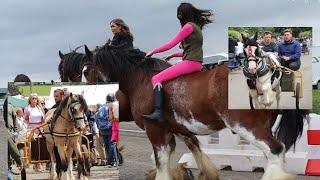 Pink Giant Horse Rider  Appleby Horse Fair Women Horse Riders on Carriage Cart