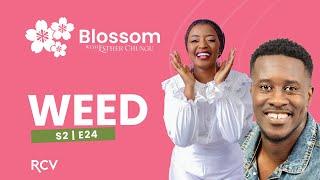 BLOSSOM•WITH•ESTHER•CHUNGU| Pastor Sean King| Weed | S2 Ep 24