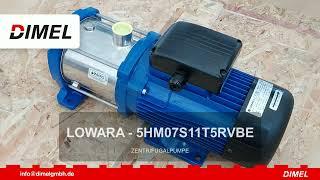 LOWARA 5HM07S11T5RVBE (AB LAGER) ZENTRIFUGALPUMPE