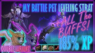 My Battle Pet Leveling Strat + ALL THE BUFFS!