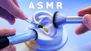 ASMR XXL Brushing & Brushes ONLY Compilation [NO TALKING] Tingle. Study. Sleep. Relax.