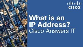 What is an IP Address?