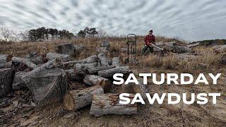 Saturday Sawdust