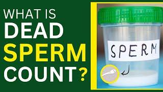 Dead Sperm Count Treatment in Hindi | Treatment of Necrospermia | Bharat Homeopathy