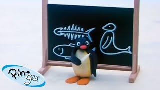 Pingu Enjoys Learning  | Pingu - Official Channel | Cartoons For Kids