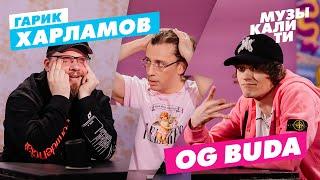 Музыкалити – Гарик Харламов и OG Buda