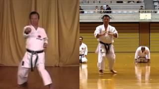 Hangetsu and Seisan were once the same kata, but are now very different