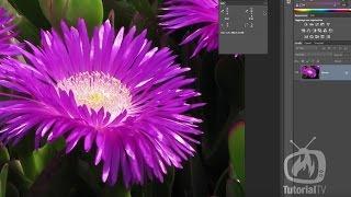 Photoshop CC - Avvertimento gamma