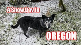 A Snow Day in Oregon
