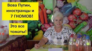 Самые лучшие томаты этого года! О заказах семян подробнее.