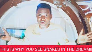 THIS IS WHY U SEE SNAKES IN YOUR DREAM!!!
