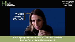 World Hydrogen Latin America Expert Interview: Trinidad Castro, World Energy Council