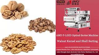 AMD Sortex(P-LGID4) Akhrot Color Sorter Machine Price for Walnut Kernels and Shells Sorting