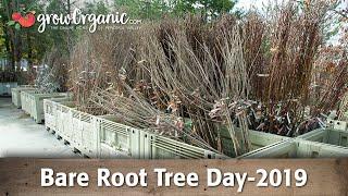 Bare Root Tree Day 2019