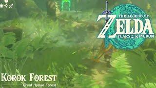 Korok Forest / Lost Woods | Zelda: Tears of the Kingdom