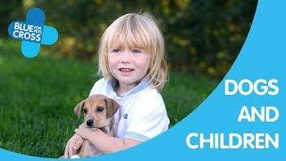 Keeping Dogs And Children Safe | Blue Cross Pet Advice