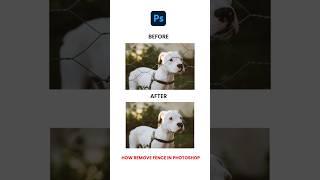 Photoshop FENCE REMOVAL Hacks Every Editor Needs