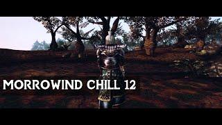 Morrowind Chill | Part 12 | Beauty of Aanthirin