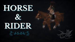 HORSE & RIDER || Star Worm Equestrian