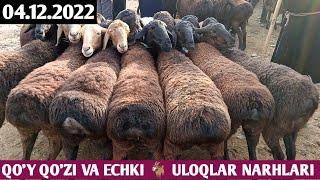 QO'Y QOʻZI VA ECHKI  ULOQLAR NARHLARI SURXONDARYO VILOYATI QIZIRIQ JAHON MOL BOZORI