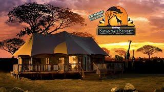 Welcome to The Savannah Sunset Resort & Spa