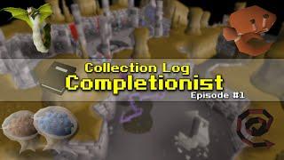 Collection Log Completionist (#1) - The Beginning