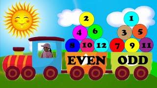 Even and Odd Numbers - Song for Children