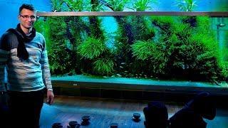 The World's Most Famous Planted Tank: Takashi Amano's Home Aquarium In Japan (vlog Part 2)