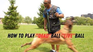 utilizing "Dead ball" "Live ball" in training