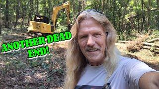 ARE THEY READY TO MOVE YET? farm, tiny house, homesteading, RV life, RV living|