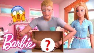 箱子里有什么”挑战！ | 芭比视频博客 | @BarbieMandarin