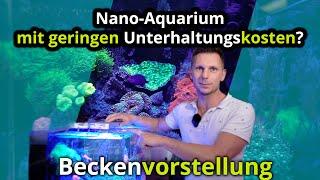 Einfach - Faszinierend - Low Budget | Marcus zeigt sein Dupla Ocean Cube 80 | Nano Meerwasserbecken