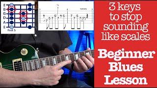 Blues Phrasing - Beginner Guitar Lesson