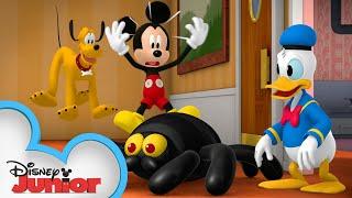 Decorate for Halloween | Mickey Mouse Funhouse | Spidey and his Amazing Friends | @disneyjr