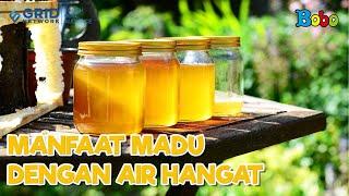 Fakta Menarik - Manfaat Mengonsumsi Madu dengan Air Hangat - Baik untuk Tubuh