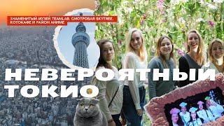 ЯПОНИЯ ЧАСТЬ 5 | Исследуем Токио: заглянем в TeamLab, поднимемся на SkyTree и исследуем район Аниме