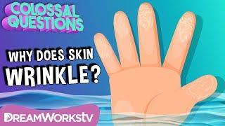 Why Does Skin Wrinkle in Water? | COLOSSAL QUESTIONS