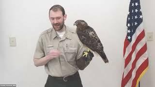 Birdwatching in Indiana with DNR Interpretative Naturalist Chandler Sonafrank