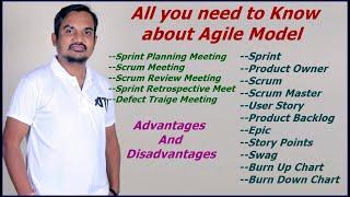 What is Agile Model? | All you need to know about Agile Model