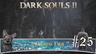 [Храм Зимы] Видео Гид Dark Souls II #25 [Грандал & Пилигрим Тьмы]