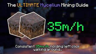 The ULTIMATE Mycelium Mining Guide OVER 35m/h | Hypixel Skyblock