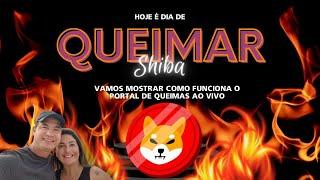 Bora queimar Shibas? Saiba como funciona o Portal de Queimas da Shiba Inu