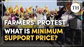 What is Minimum Support Price? | Explained