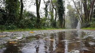 Som de Chuva leve e calma - Tela Preta - Som e musica para relaxar, dormir