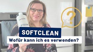 proWIN Softclean - was kann man damit machen? Wofür benutzt man ihn?