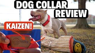 Best Dog Collar Review!