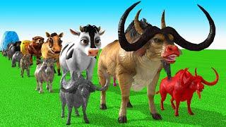 Paint Animals Cow Cartoon,Buffalo,Bull,yak,Ox,Bear,Lion,Hippo,Dinosaur Fountain Crossing Animal Game