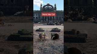 World War Cat